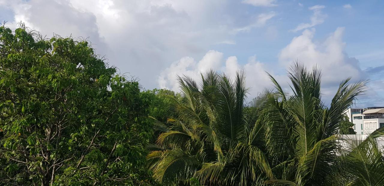 The Green Village Boutique Hotel Playa del Carmen Ngoại thất bức ảnh